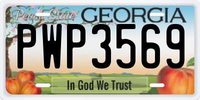 GA license plate PWP3569