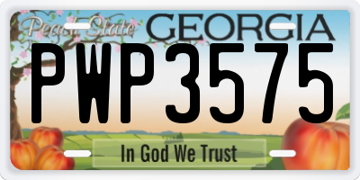 GA license plate PWP3575
