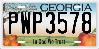 GA license plate PWP3578