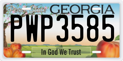 GA license plate PWP3585