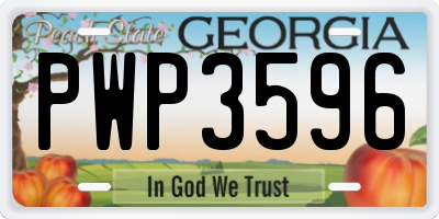 GA license plate PWP3596