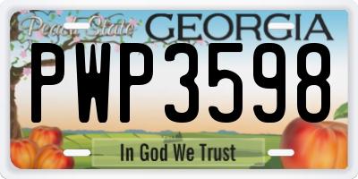 GA license plate PWP3598