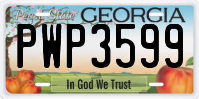 GA license plate PWP3599