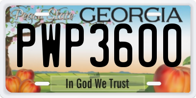 GA license plate PWP3600