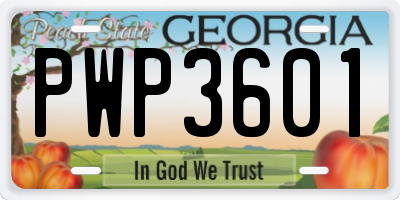 GA license plate PWP3601