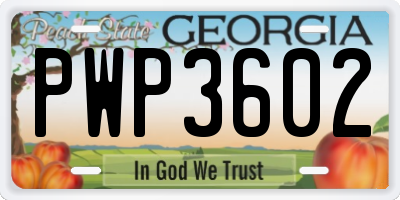 GA license plate PWP3602
