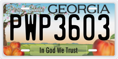 GA license plate PWP3603