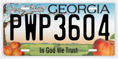 GA license plate PWP3604