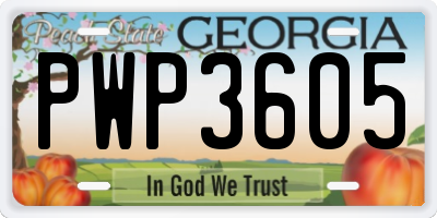 GA license plate PWP3605