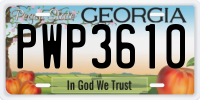 GA license plate PWP3610