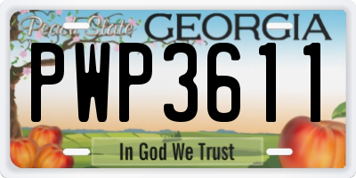 GA license plate PWP3611
