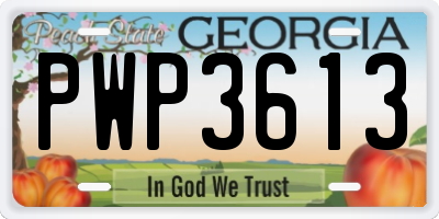 GA license plate PWP3613