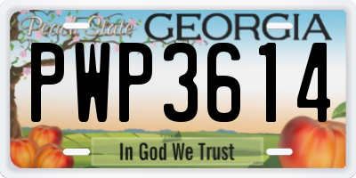 GA license plate PWP3614