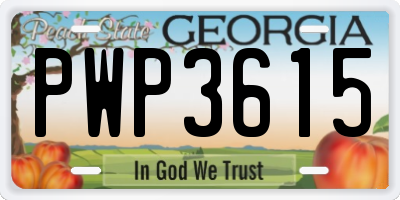 GA license plate PWP3615