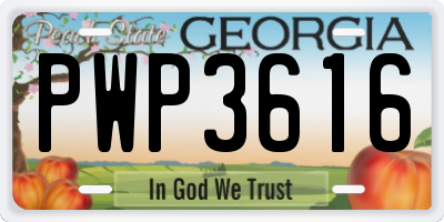 GA license plate PWP3616