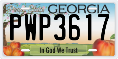 GA license plate PWP3617