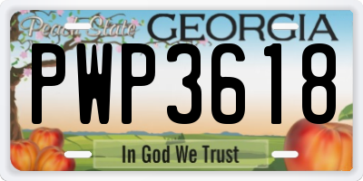 GA license plate PWP3618