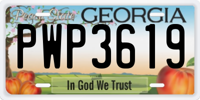 GA license plate PWP3619