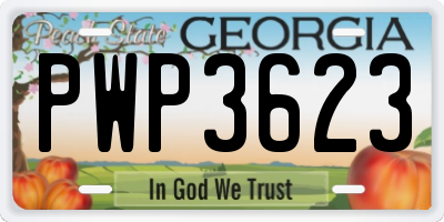 GA license plate PWP3623