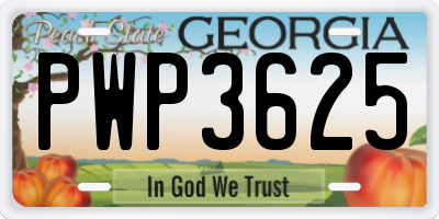 GA license plate PWP3625