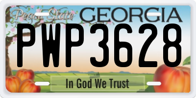 GA license plate PWP3628