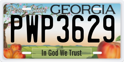 GA license plate PWP3629