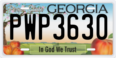 GA license plate PWP3630