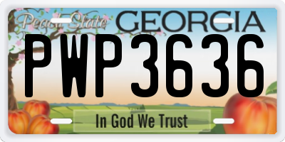 GA license plate PWP3636