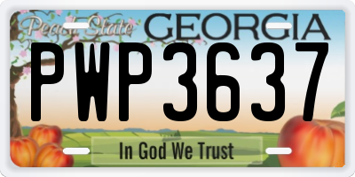 GA license plate PWP3637