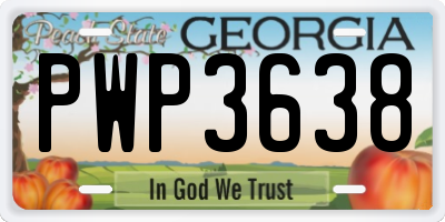 GA license plate PWP3638