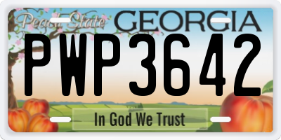 GA license plate PWP3642