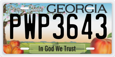 GA license plate PWP3643