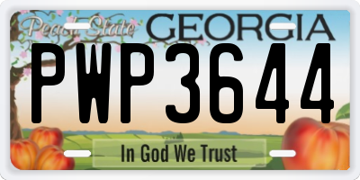GA license plate PWP3644