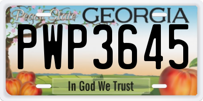 GA license plate PWP3645