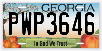 GA license plate PWP3646