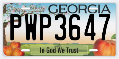 GA license plate PWP3647