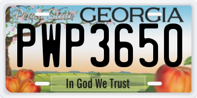 GA license plate PWP3650