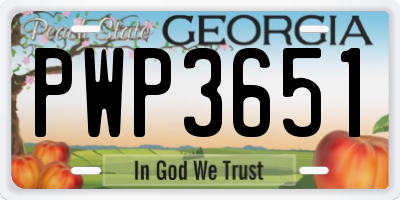 GA license plate PWP3651