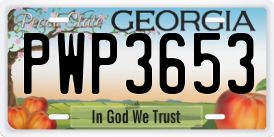 GA license plate PWP3653