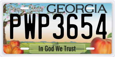 GA license plate PWP3654