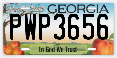 GA license plate PWP3656