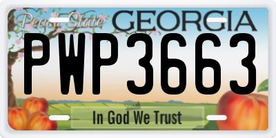 GA license plate PWP3663