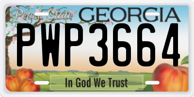GA license plate PWP3664