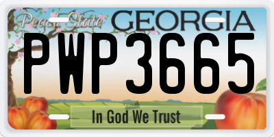 GA license plate PWP3665