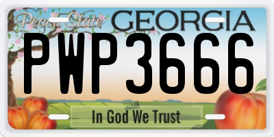 GA license plate PWP3666