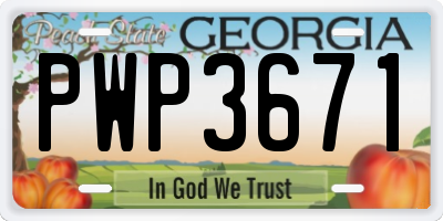GA license plate PWP3671