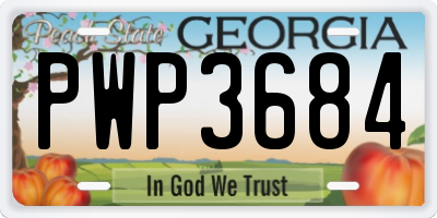 GA license plate PWP3684