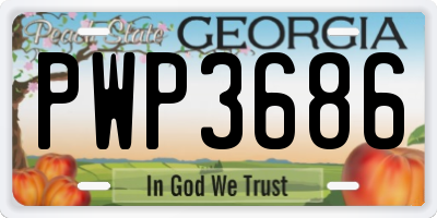 GA license plate PWP3686