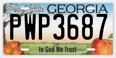 GA license plate PWP3687