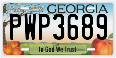 GA license plate PWP3689